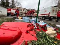 Миниатюра 5