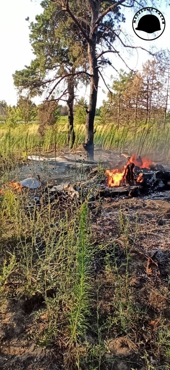 Изображение из галереи