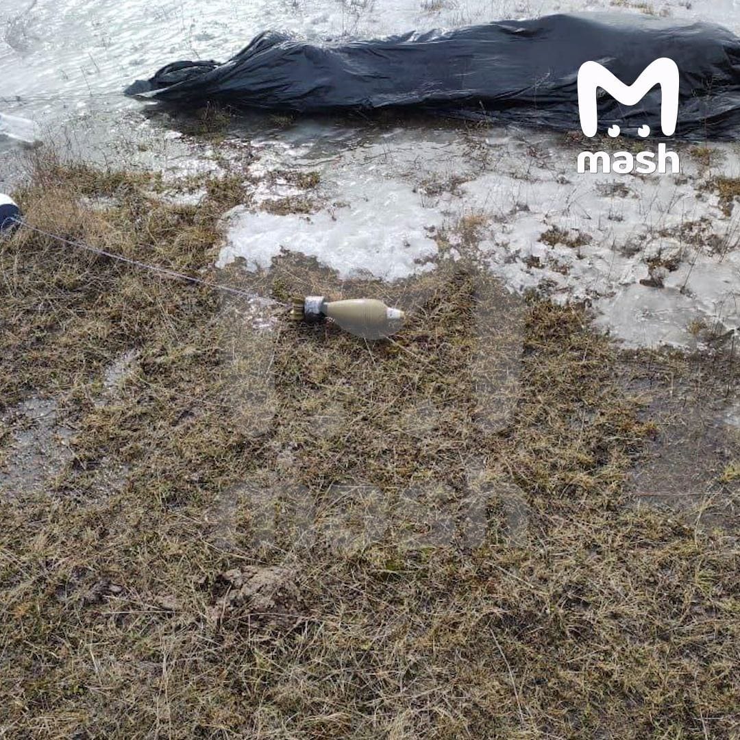 Изображение из галереи