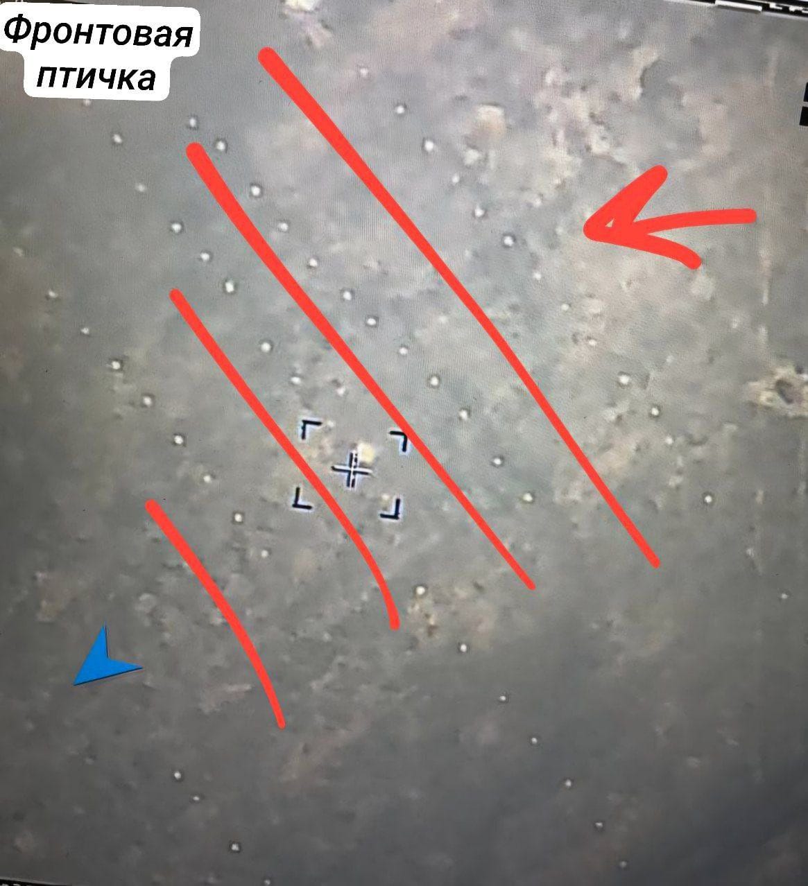 Изображение из галереи