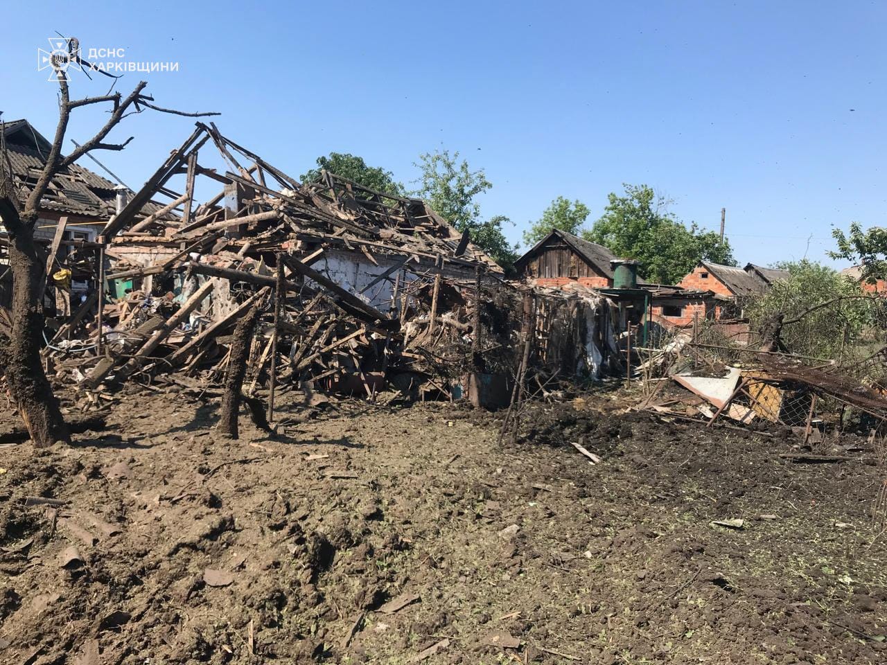 Изображение из галереи