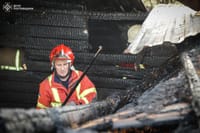 Миниатюра 7