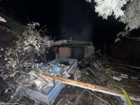 Миниатюра 5