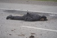 Миниатюра 7