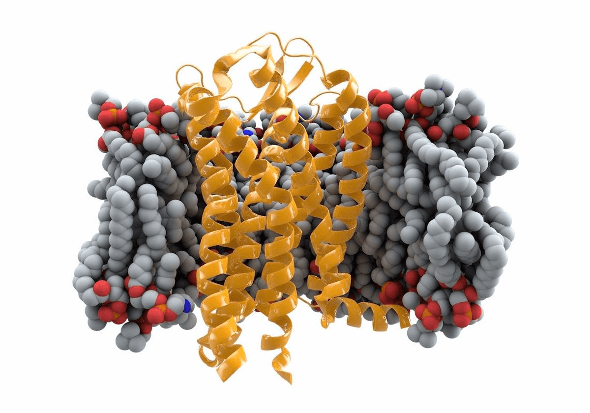 Житель Германии полностью излечился от ВИЧ. Это третий случай в истории