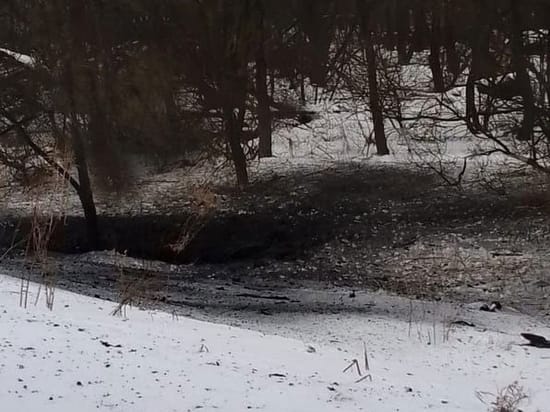 Тульские власти: Взрыв в области мог устроить беспилотник