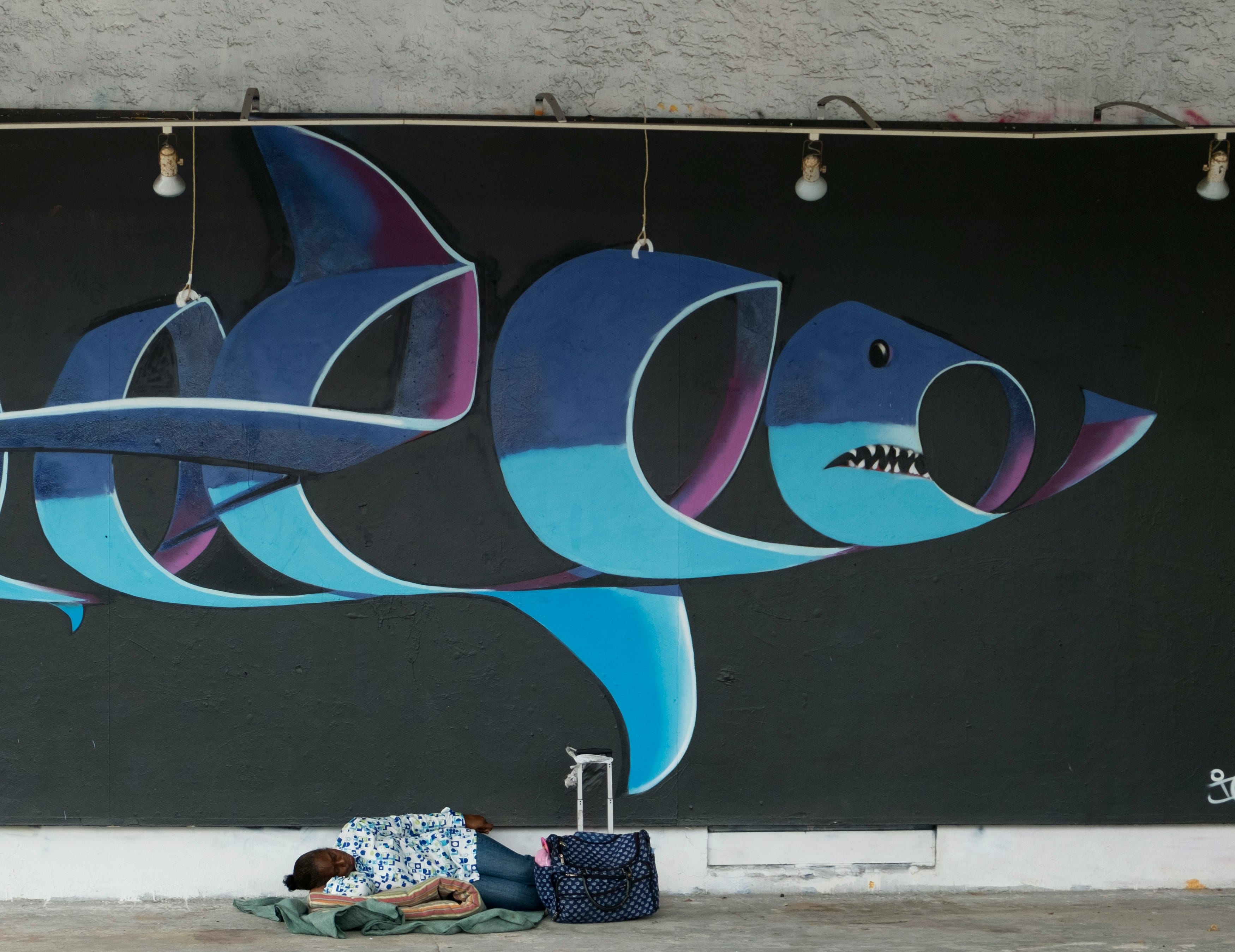 У берегов Бразилии в организмах акул обнаружены рекордные концентрации кокаина