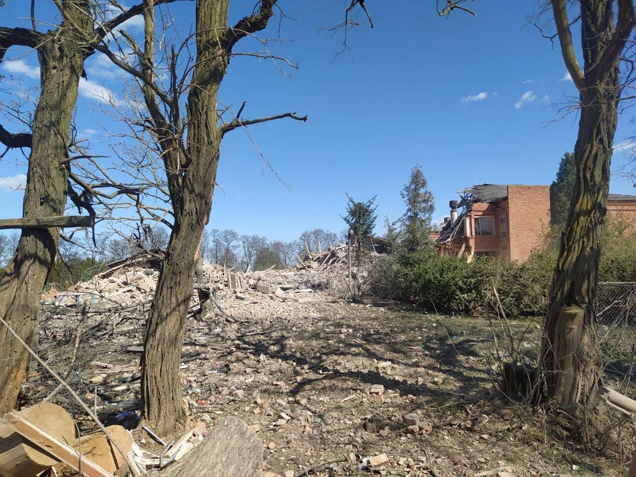 Изображение из галереи