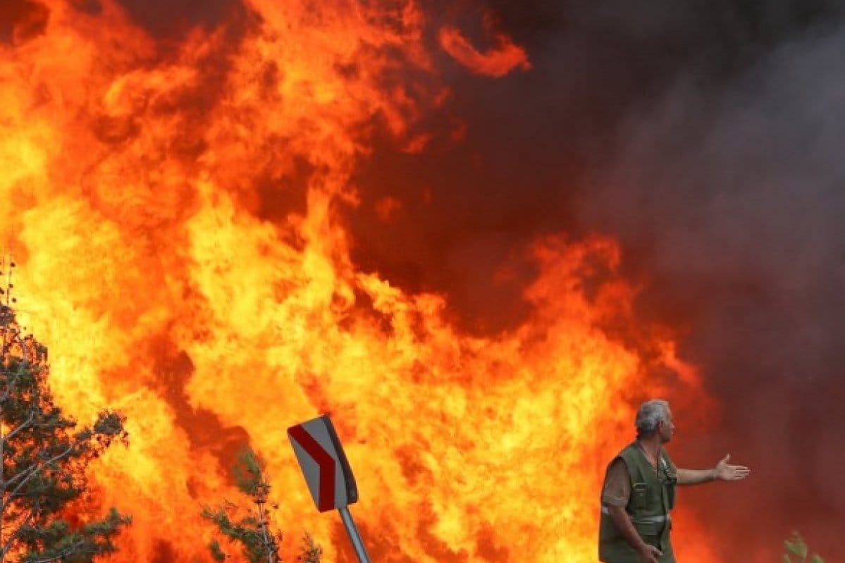 Бушующие во Франции пожары нанесли серьезный ущерб виноделам в Провансе — из вина невозможно удалить запах гари