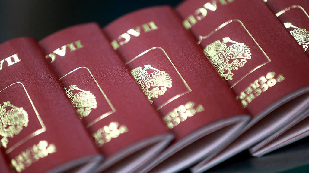 В МВД объявили о рекордном сокращении количества иностранцев, получивших российские паспорта в 2024 году