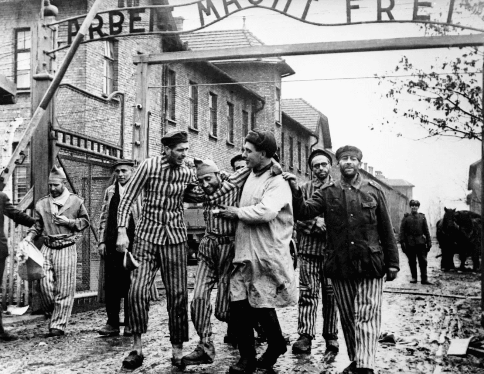 «Молотов, Риббентроп, просыпайтесь! Путин сошел с ума!» Зигмунт Дзеньчоловский к годовщине освобождения Освенцима