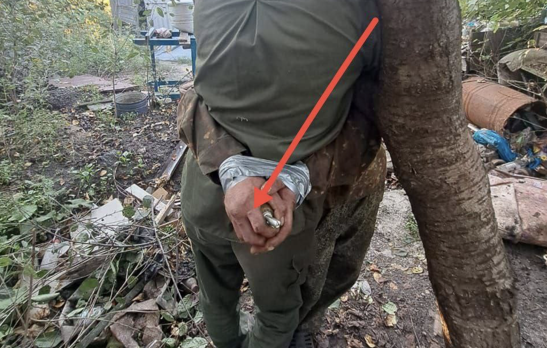 Иллюстрация к материалу